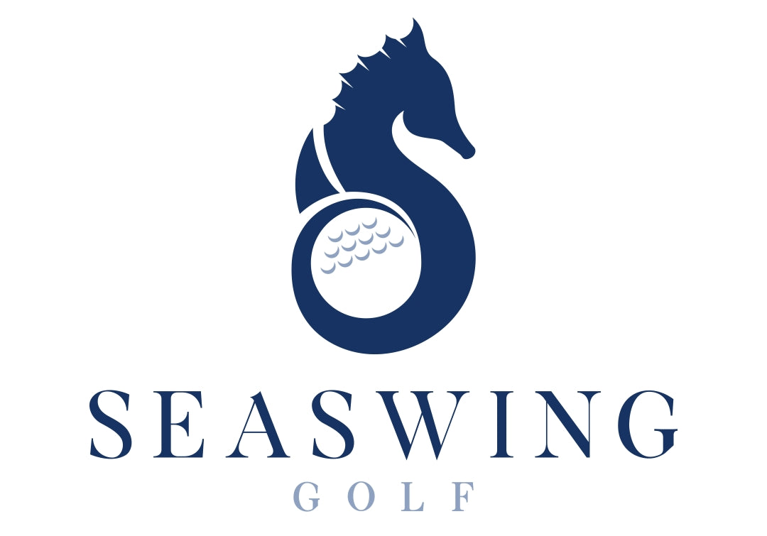 SeaSwing